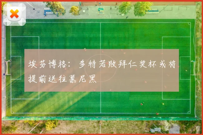 埃芬博格：多特若败拜仁奖杯或将提前送往慕尼黑